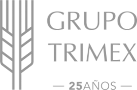 idXImDfrTj_logos 1
